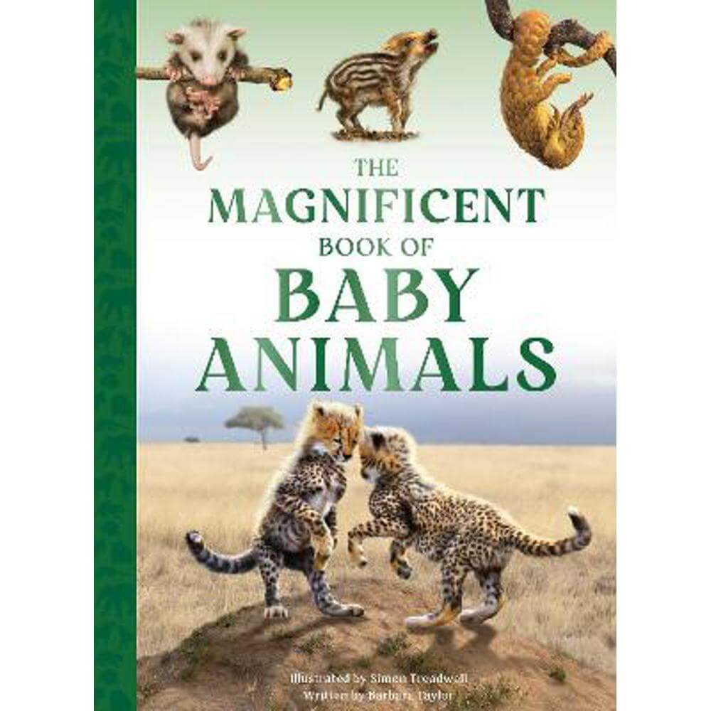 The Magnificent Book of Baby Animals (Hardback) - Barbara Taylor